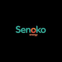 Company Logo that KGS Served